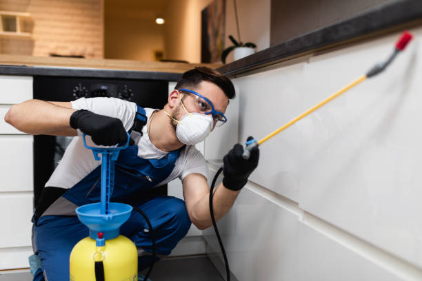 Best Mosquito Control Services  in Leslie, MI