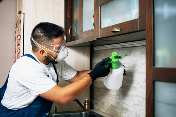 Pest Prevention Services in Leslie, MI