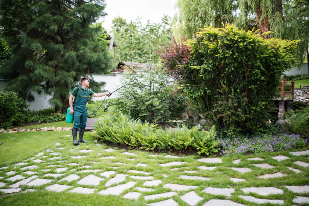 Best Affordable Pest Control Services  in Leslie, MI
