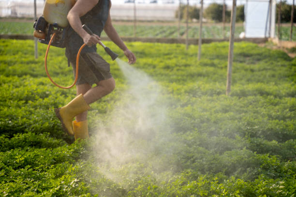 Best Commercial Pest Control Services  in Leslie, MI