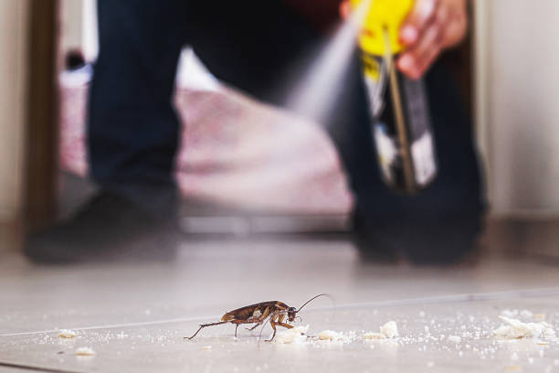 Insect Control in Leslie, MI