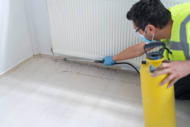 Best Wasp Removal Services  in Leslie, MI