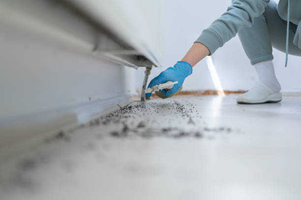 Best Local Pest Control Services  in Leslie, MI